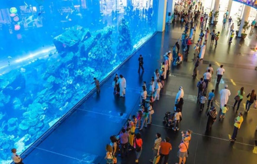 Dubai City Tour