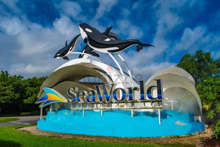 Seaworld From Dubai