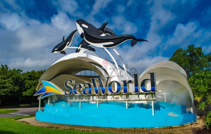 Seaworld From Dubai