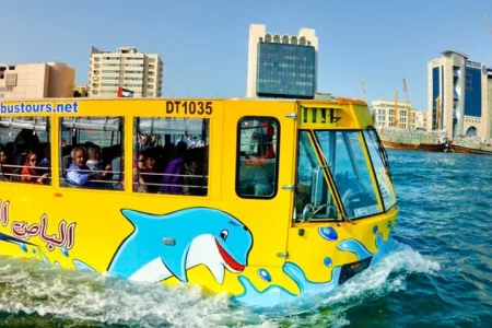 Wonder Bus Sea And Land Adventure Tours