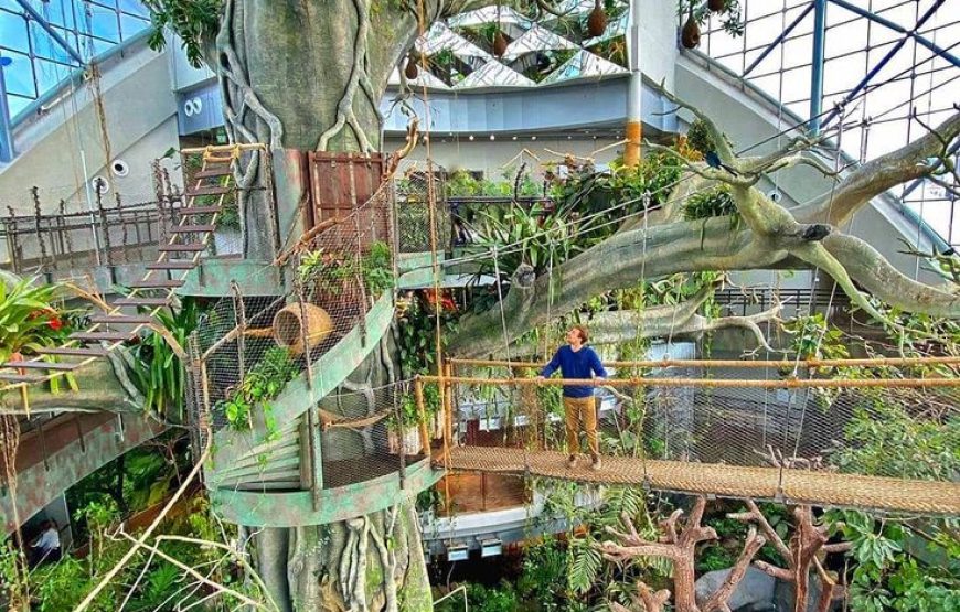 The Green Planet Dubai