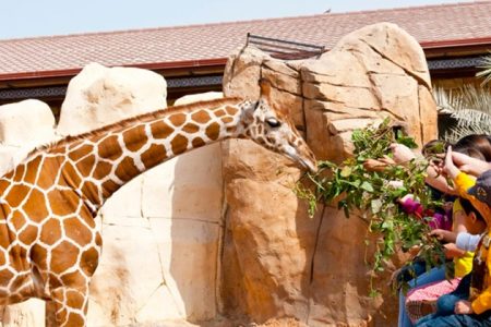 Emirates Park Zoo