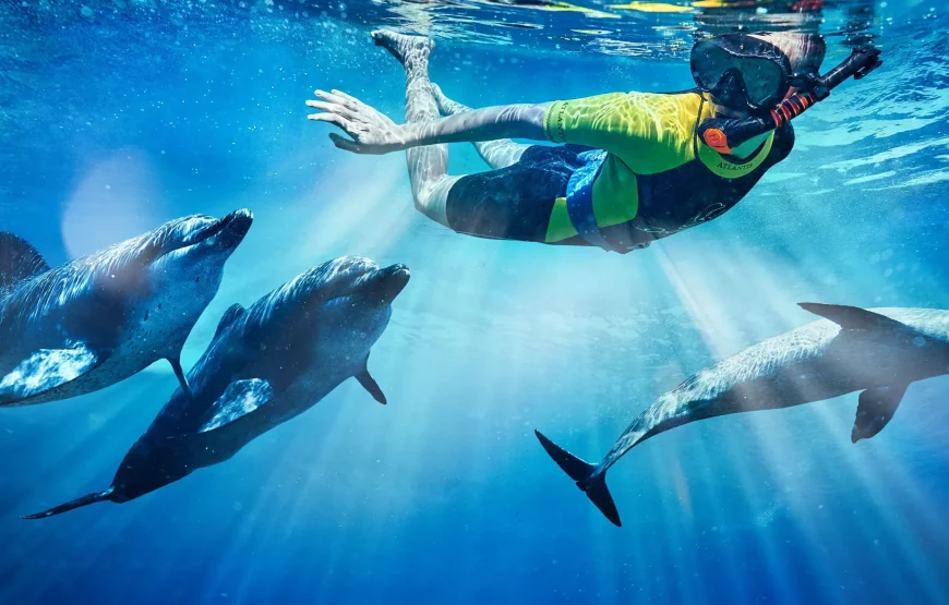 Dolphin Bay Atlantis