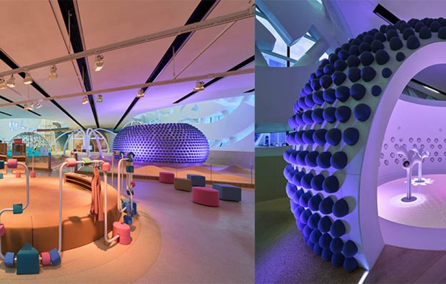 Museum Of The Future