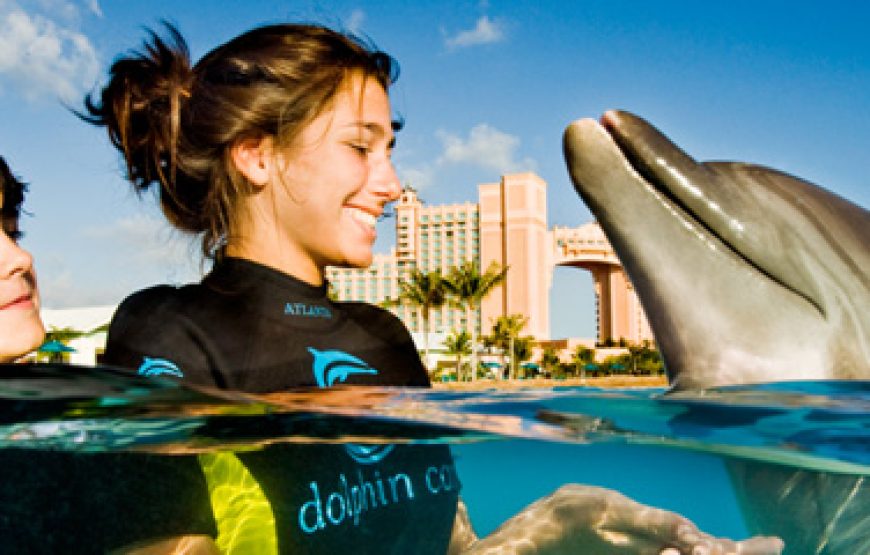 Dolphin Bay Atlantis