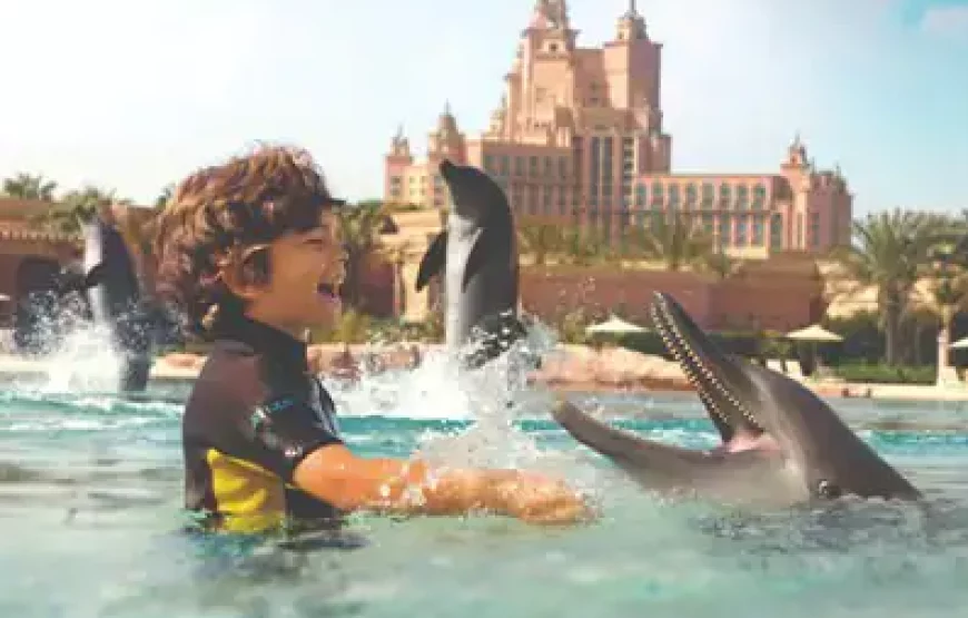 Dolphin Bay Atlantis