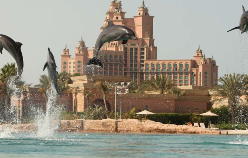 Dolphin Bay Atlantis