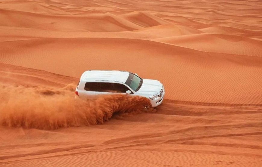 Desert Safari