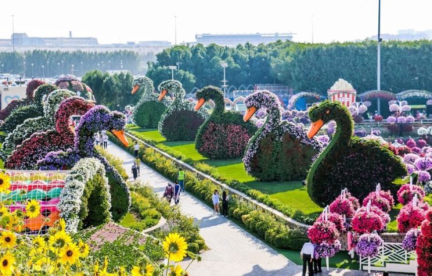 Miracle Garden Dubai