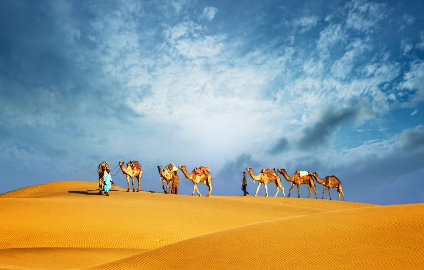 Desert Safari