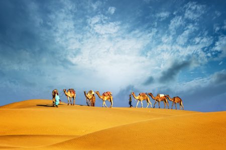 Desert Safari